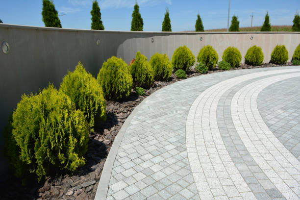Best Decorative Driveway Pavers  in Bay Point, CA